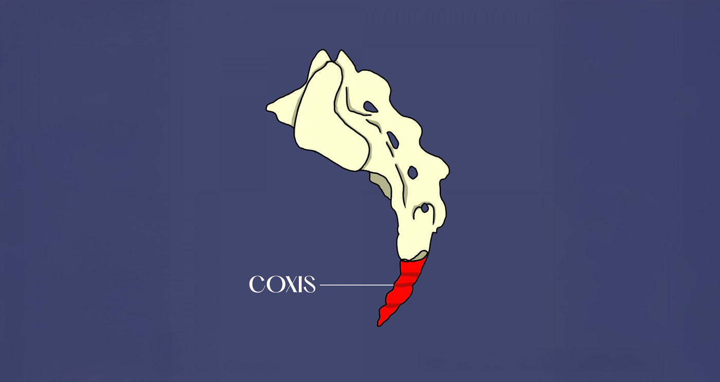 Dolor de coxis